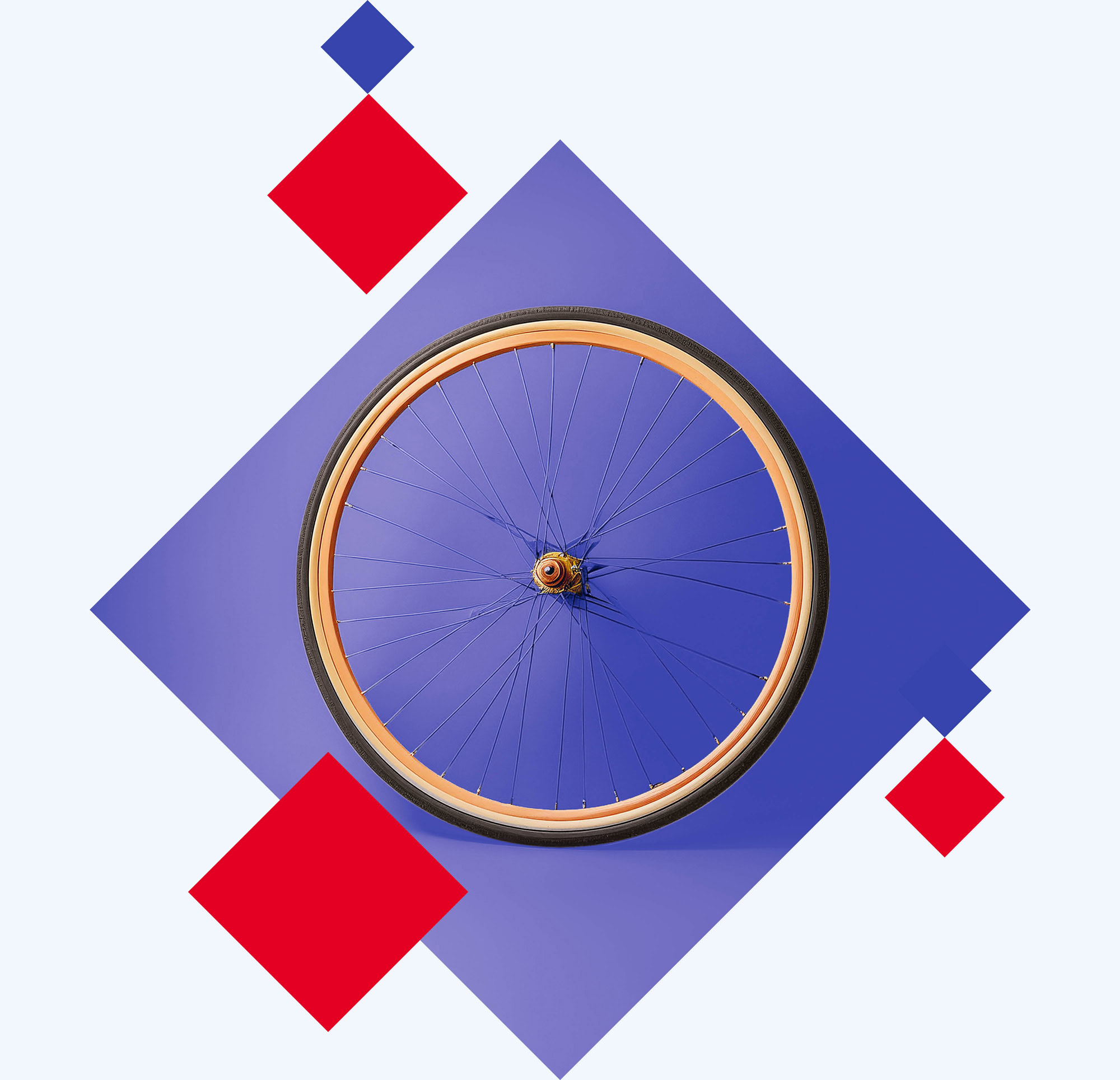 5_im_foifi_rad DNA rad DNA