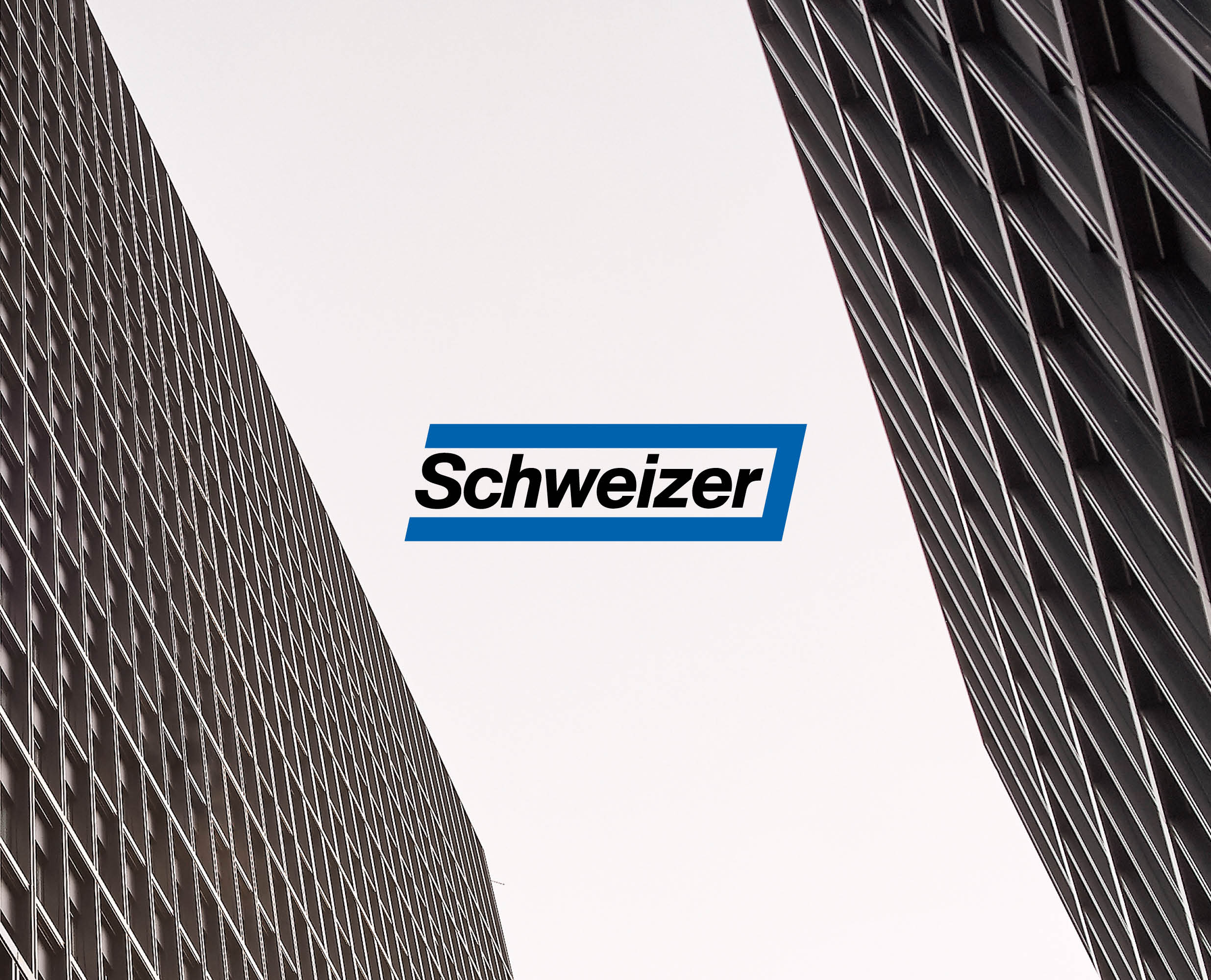 Insights Schweizer