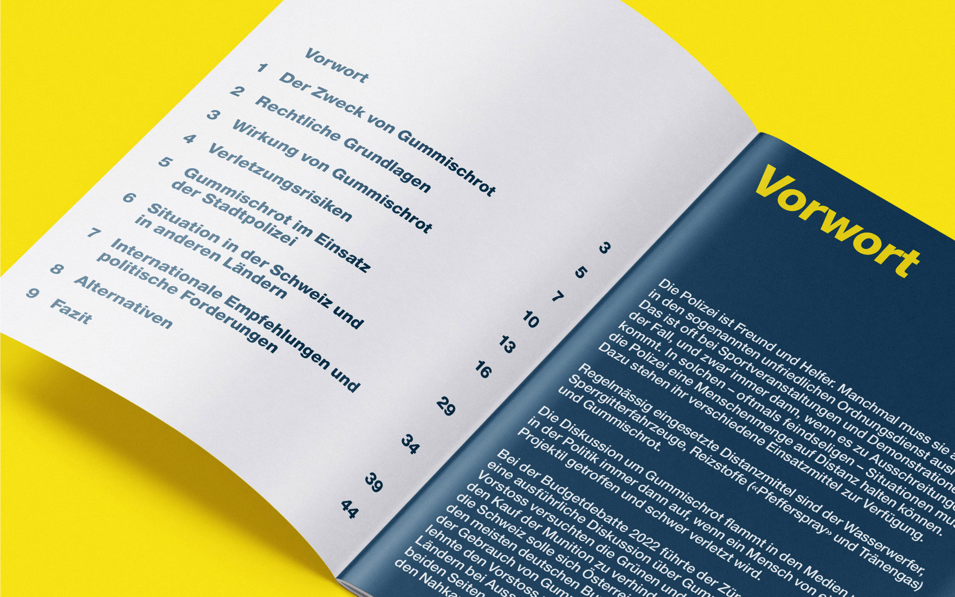 Detailseien Gummischrot Bericht 2025 des Sicherheitsdepartement Stadt Zürich Online PDF