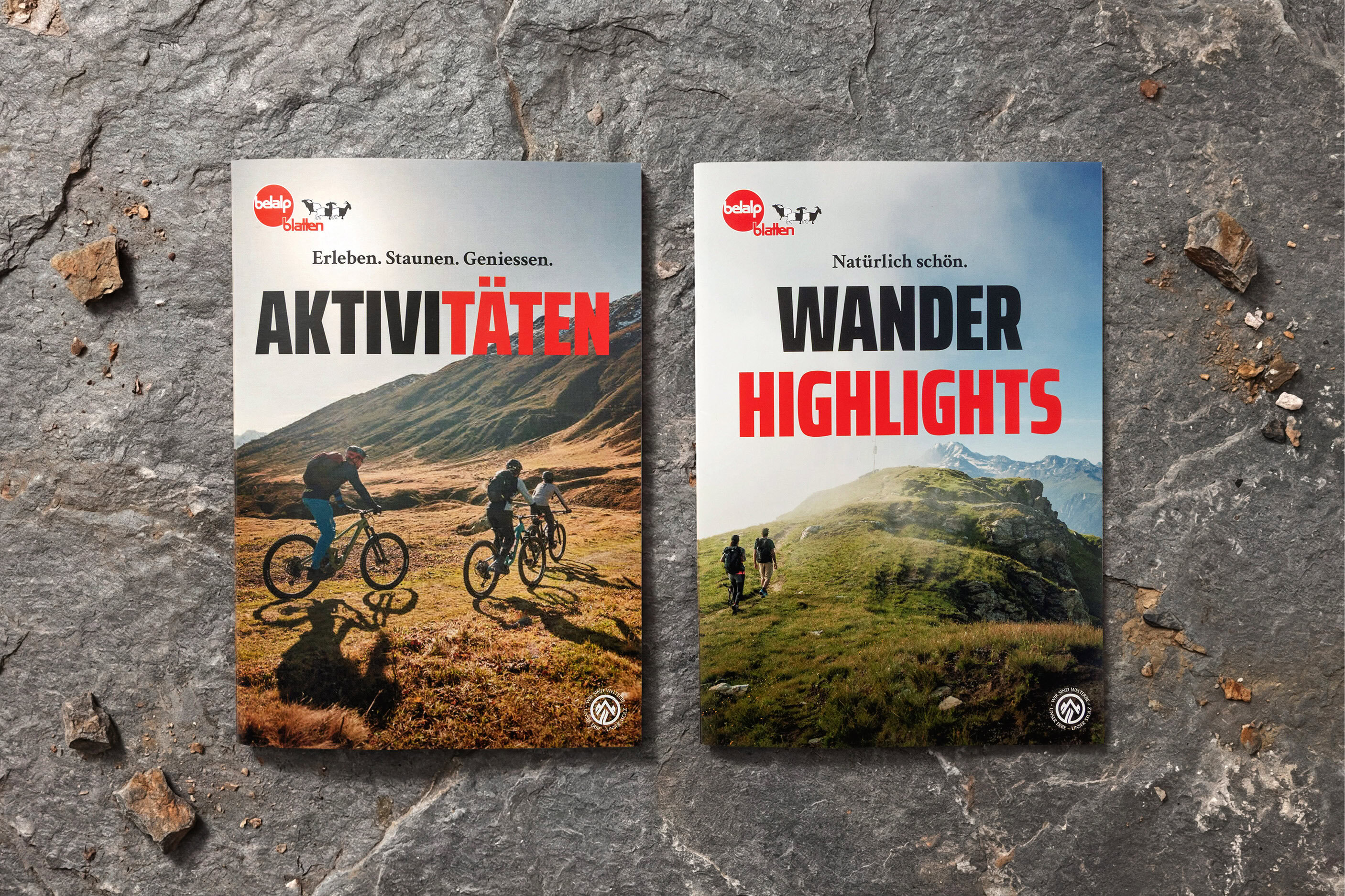 02_bel_Rebranding_satzspiegel_3x211 Stiftung-PWG-Farben