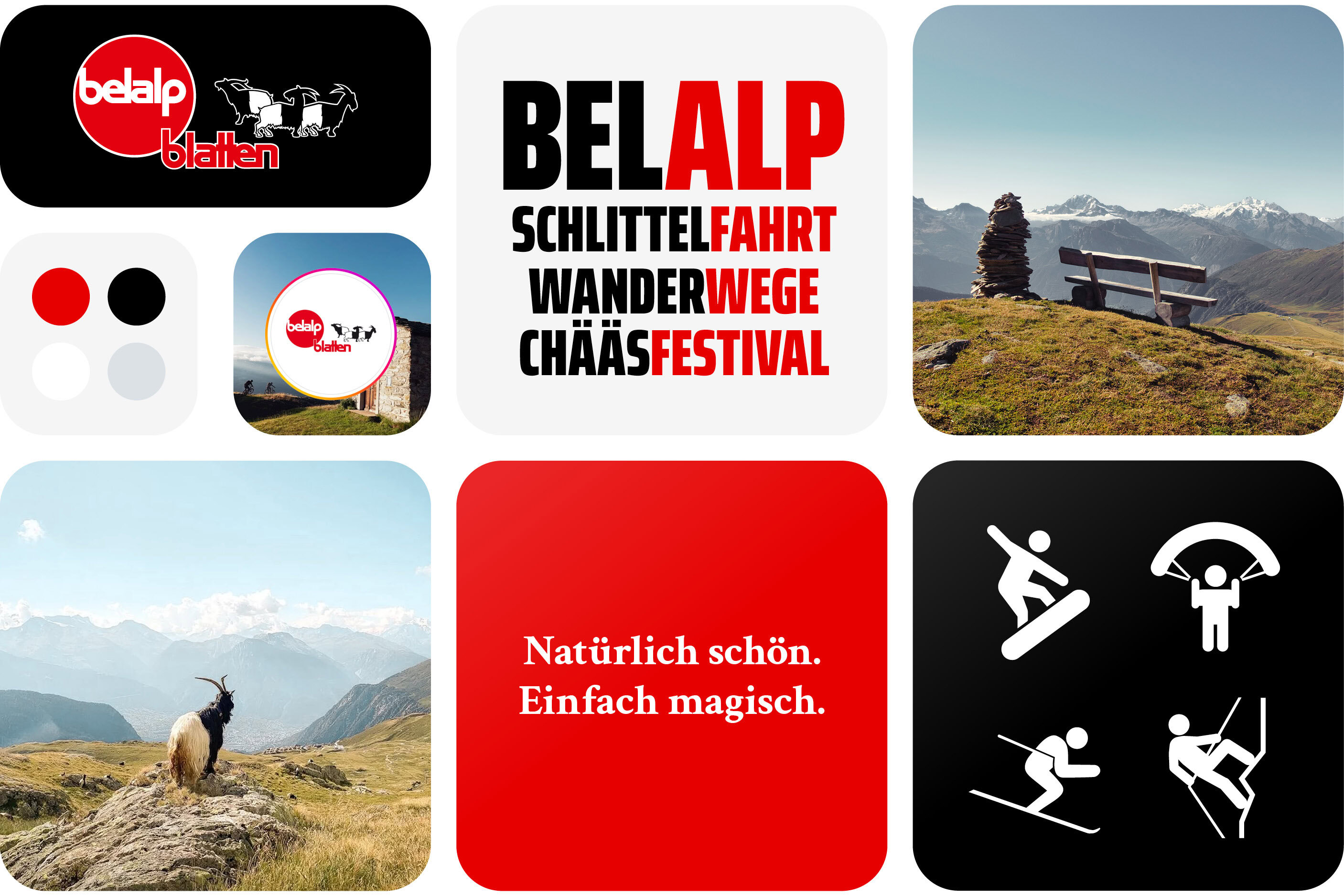 02_bel_Rebranding_satzspiegel_3x22 Stiftung-PWG-Farben