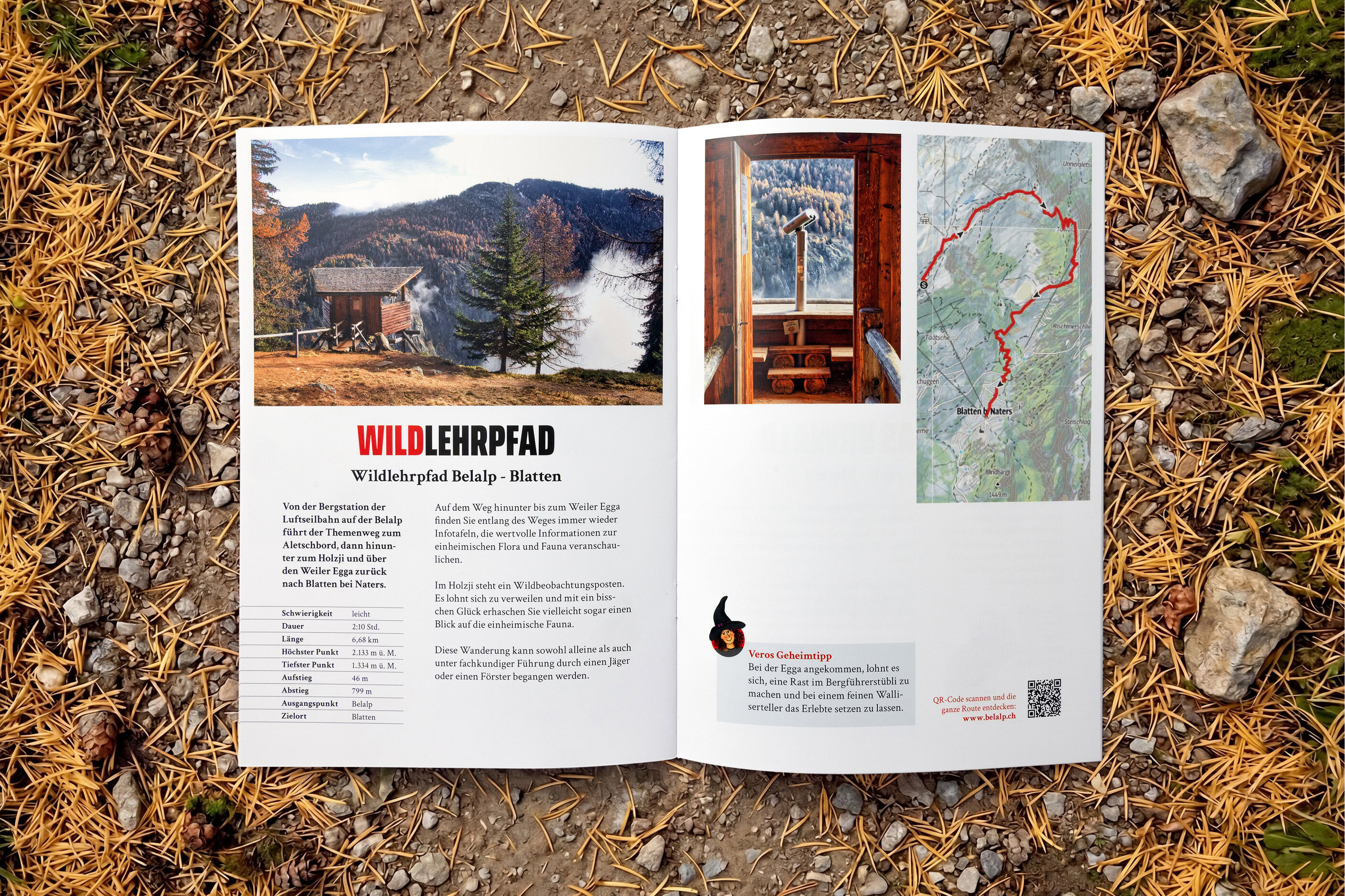 02_bel_Rebranding_satzspiegel_3x28 Stiftung-PWG-Farben